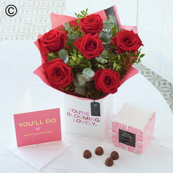 Valentine's 6 Red Rose Gift Set